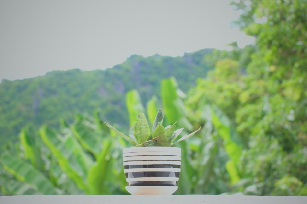 Loren Homestay Phong Nha Kültér fotó