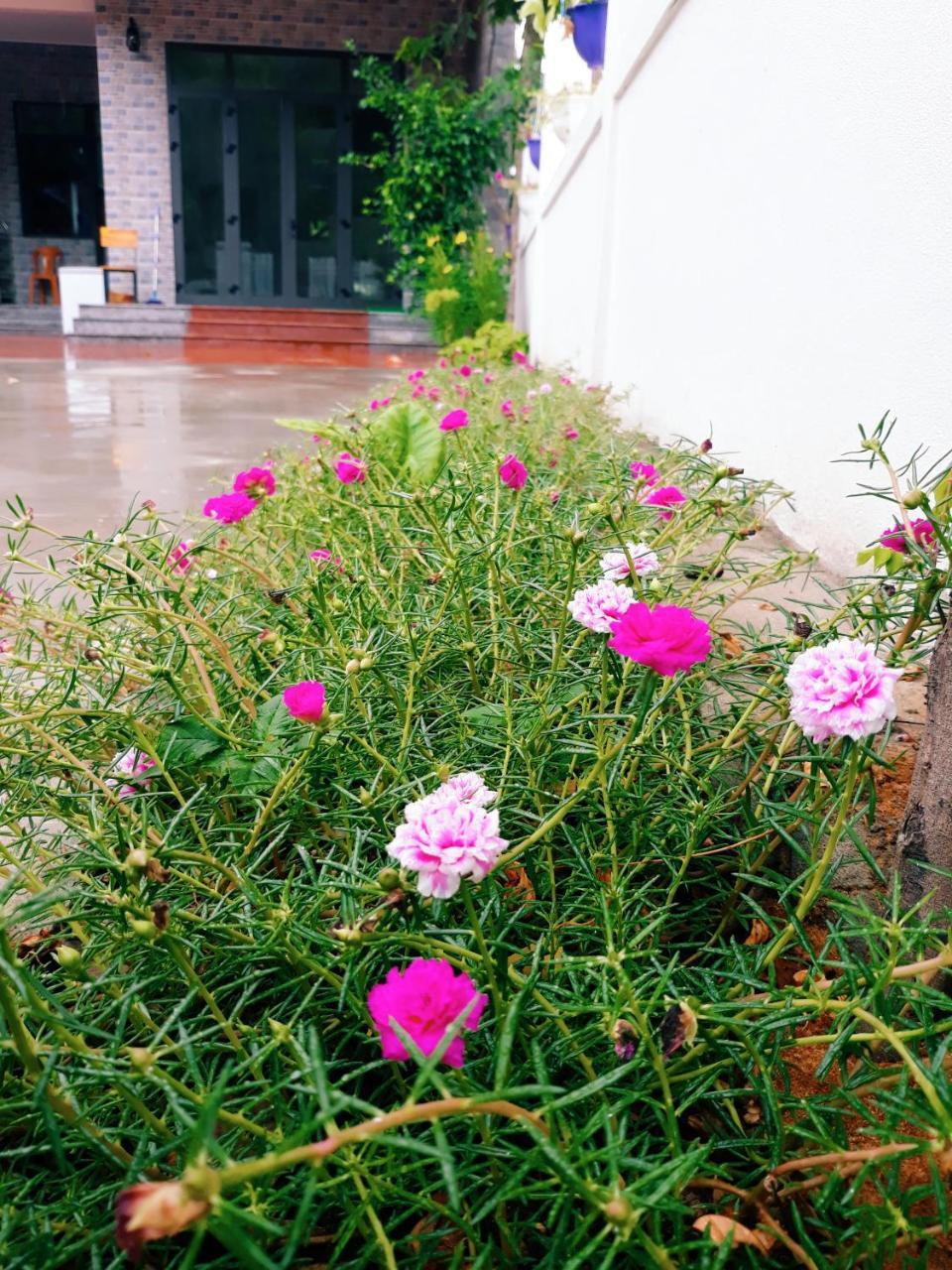 Loren Homestay Phong Nha Kültér fotó